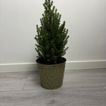 MeeSnow - groen - kerstboom