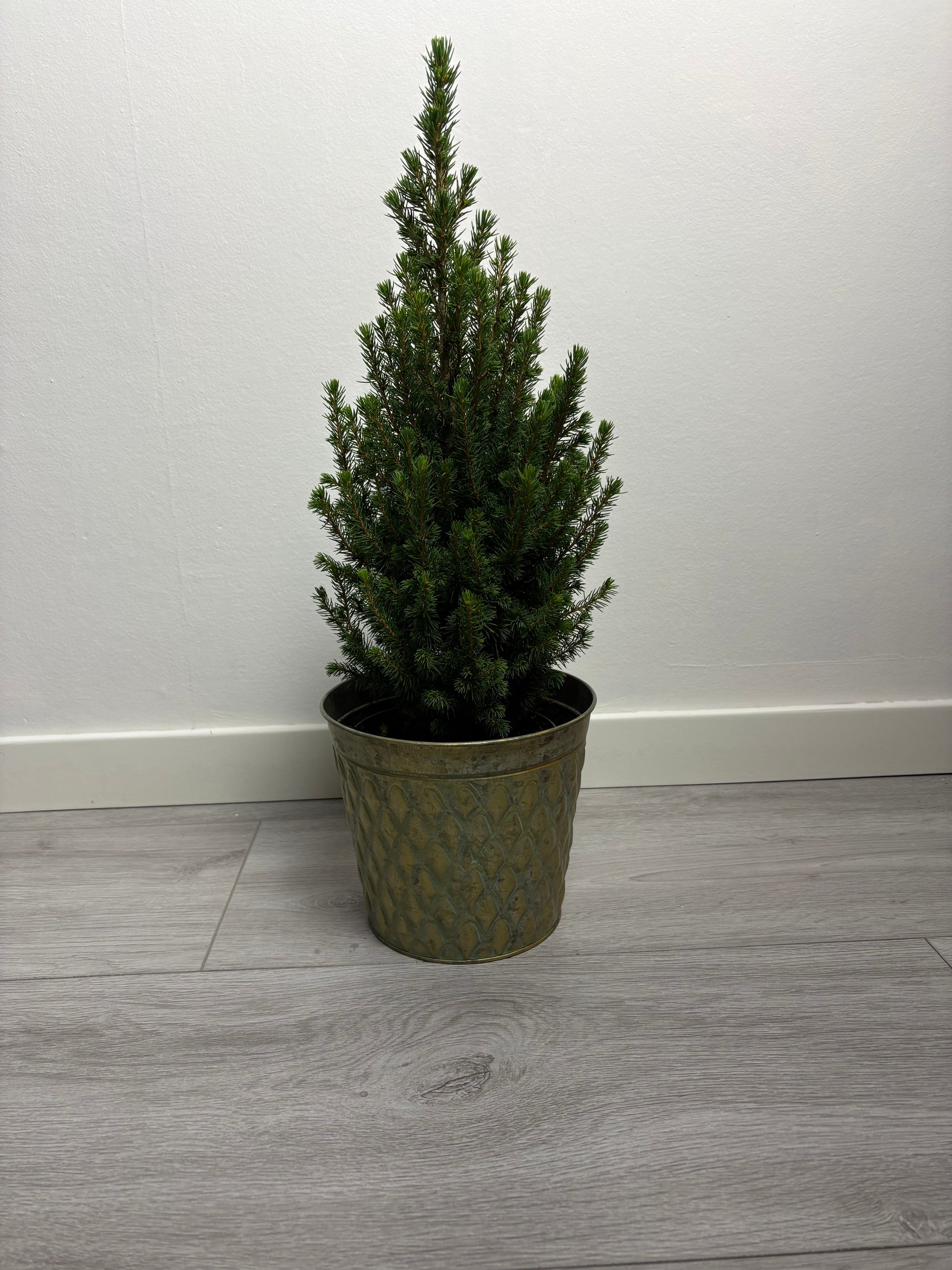 MeeSnow - groen - kerstboom