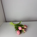 MeeLove - roze - tulpen
