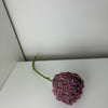 MeeStar - purple - bloem