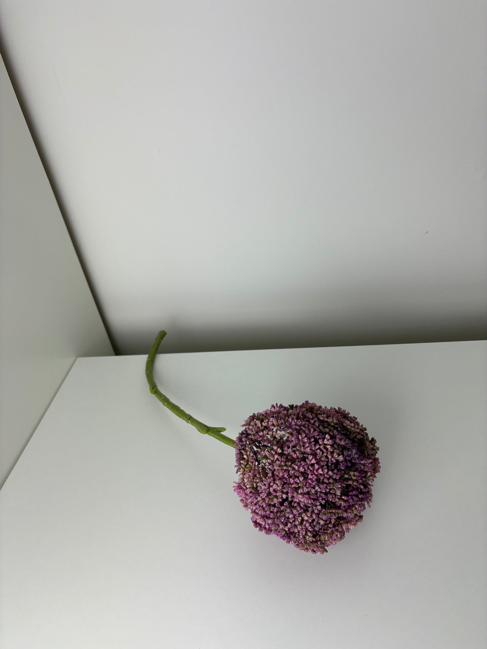 MeeStar - purple - bloem