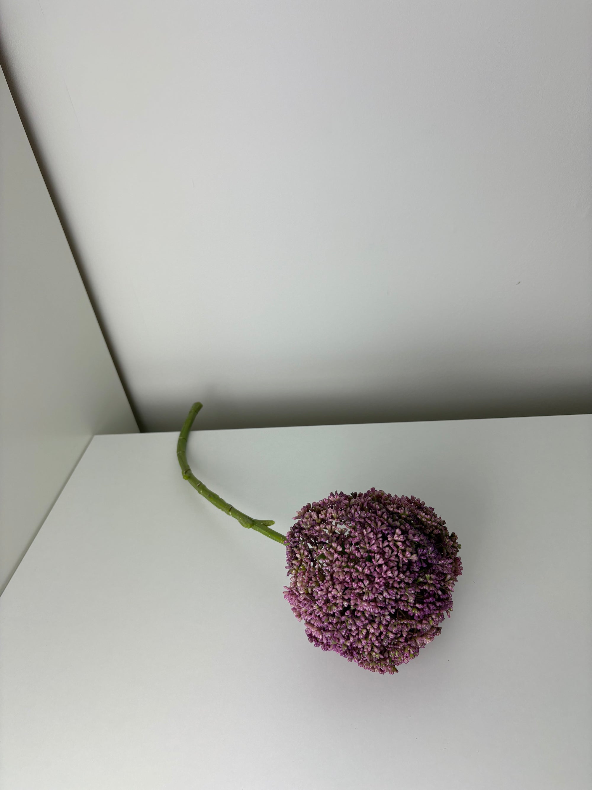 MeeStar - purple - bloem