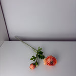MeePower - peach - ranonkel