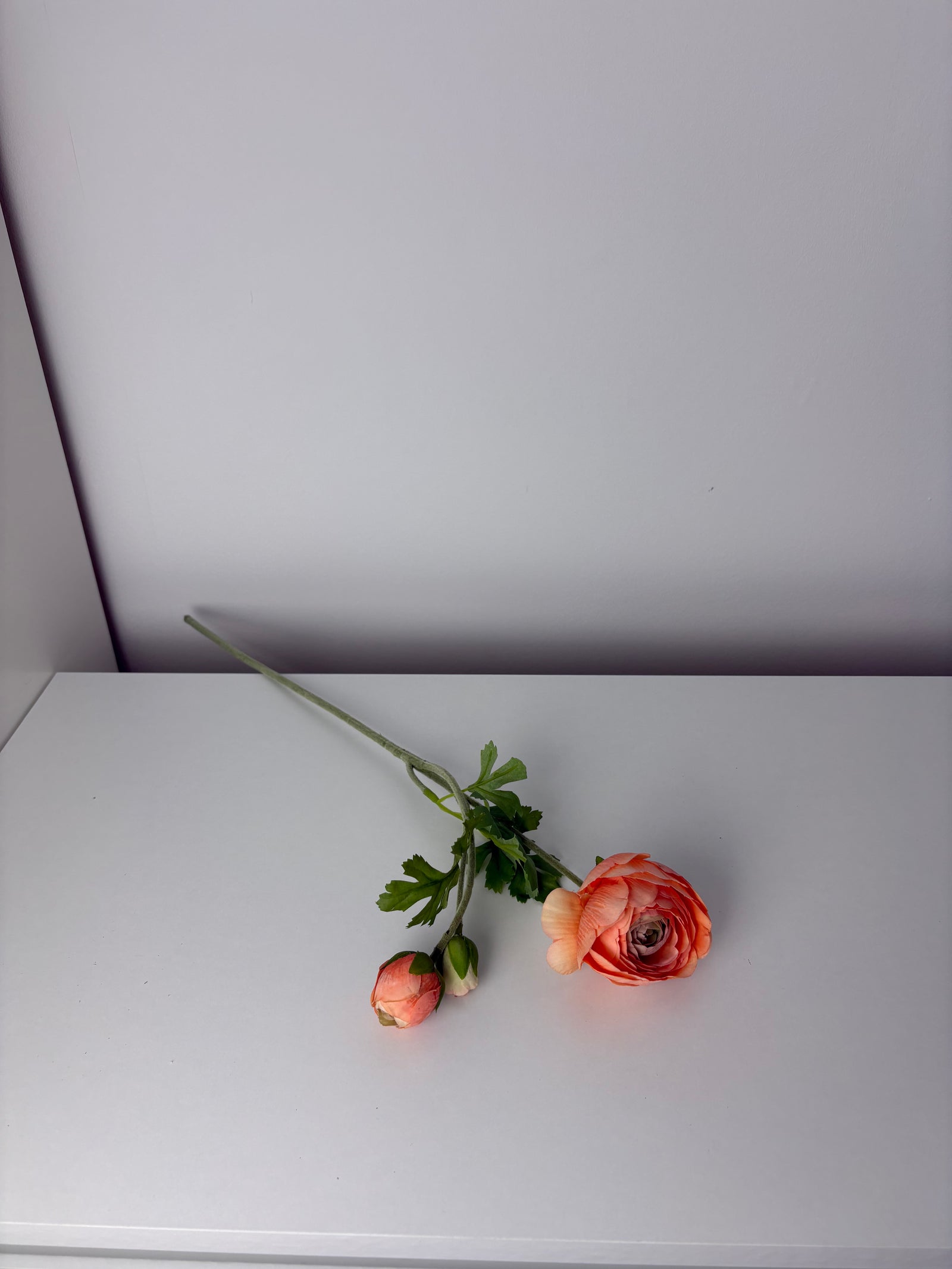 MeePower - peach - ranonkel