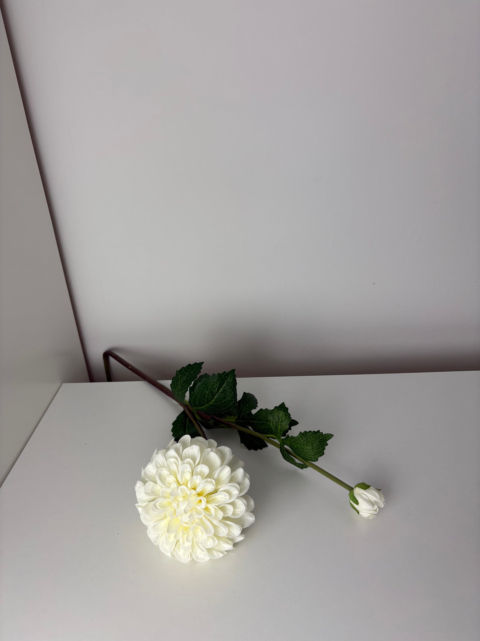 MeeLush - white - dahlia