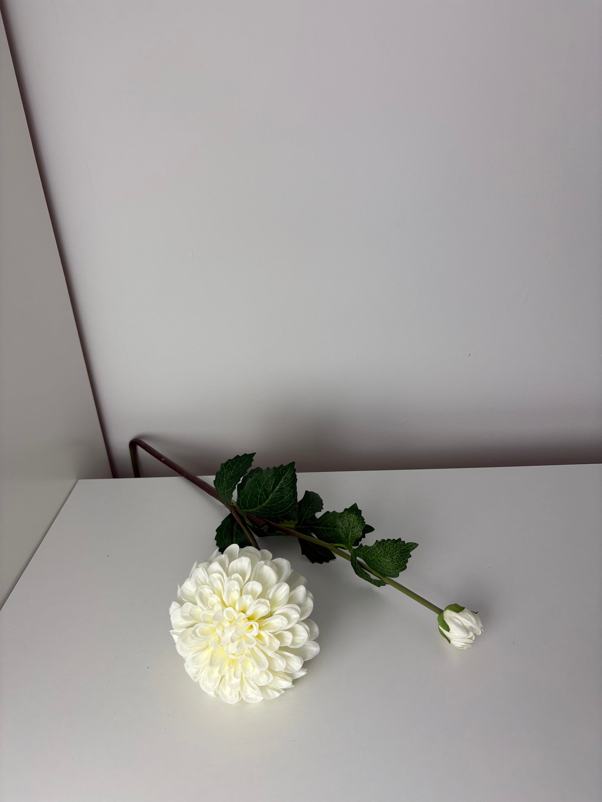 MeeLush - white - dahlia