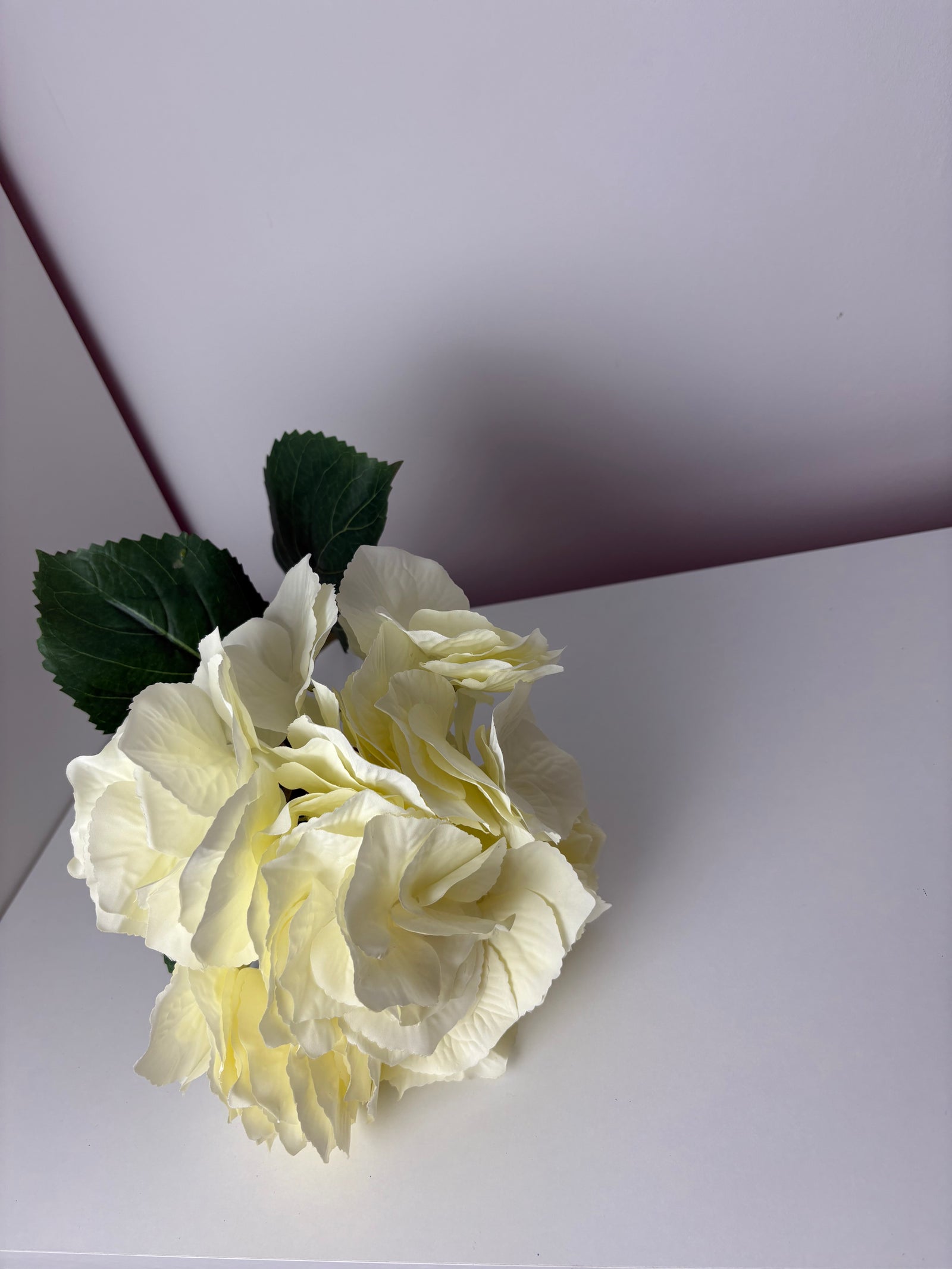MeeEssence - white - hortensia
