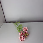 MeeGleam - roze - scabiosa
