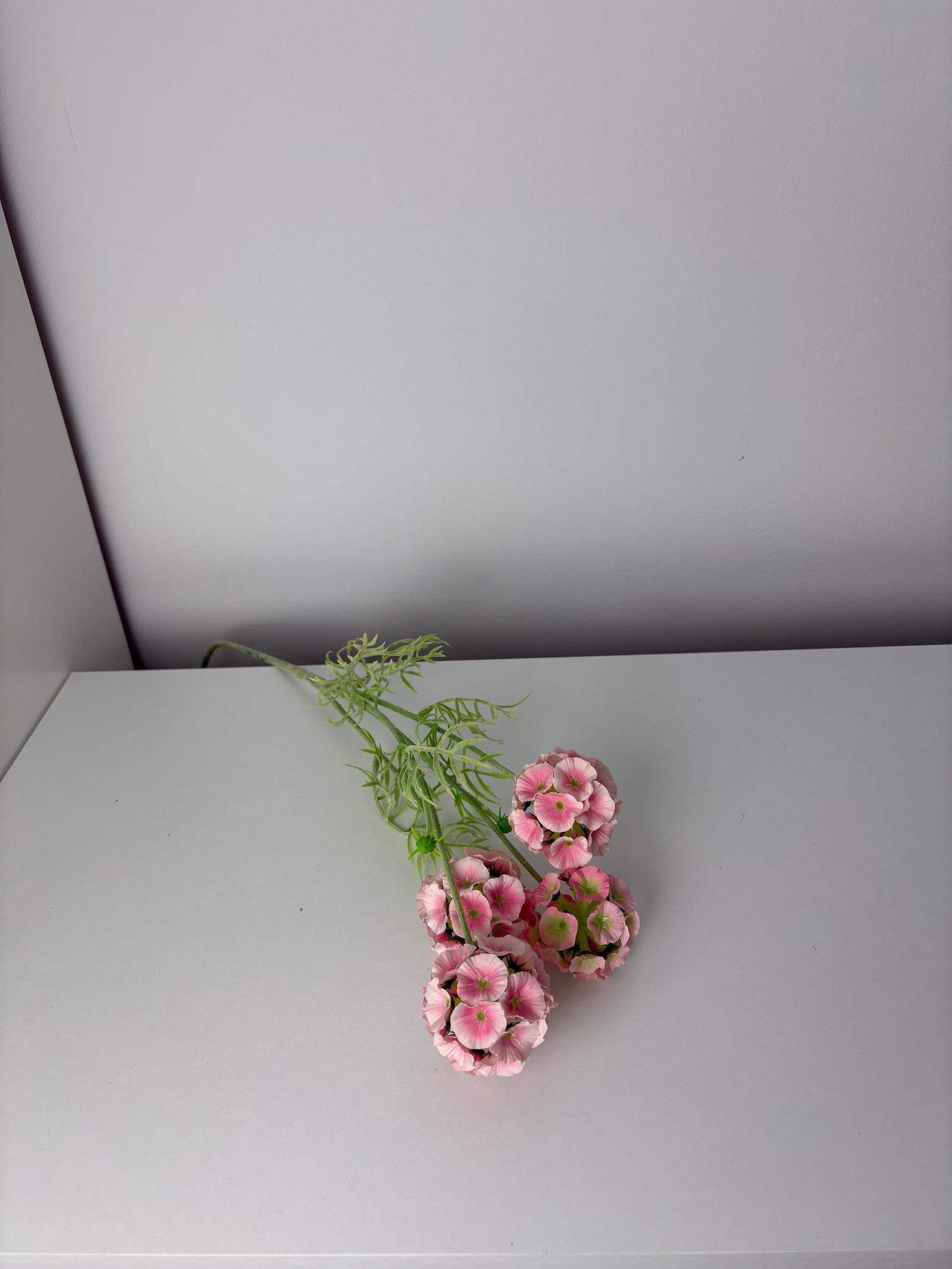 MeeGleam - roze - scabiosa