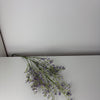MeeSoft - purple - statice