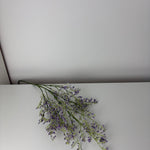 MeeSoft - purple - statice