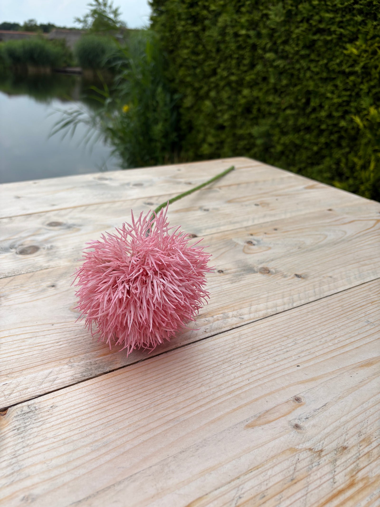 meeMist - roze - bloem