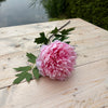 MeeBliss - roze - bloem