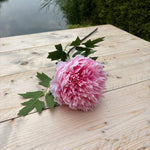 MeeBliss - roze - bloem